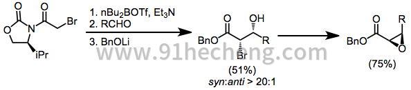 NEpoxAlt1.