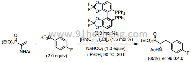 Rh14Addition-范围 -  6.