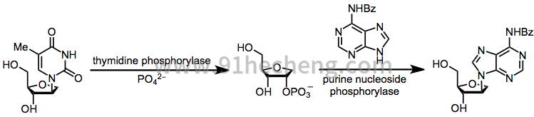 NucleoAlt2.