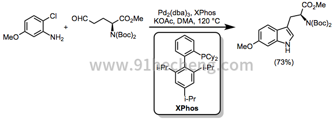 IndolesPd-范围 -  4.