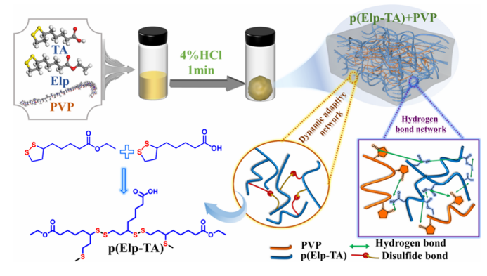 ACS Appl. Mater. Interfaces | 基于硫辛酸的可回收粘合剂