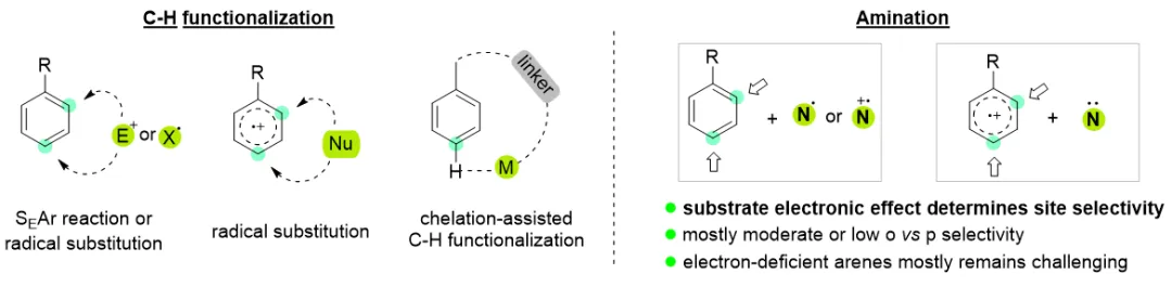 Angew. Chem. ：贵州大学绿色农药全国重点实验室：芳烃分子对位选择性C-H胺化