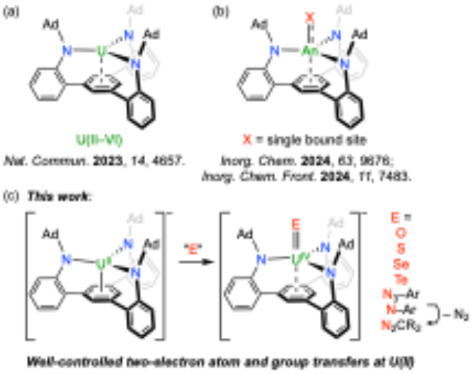 1 1