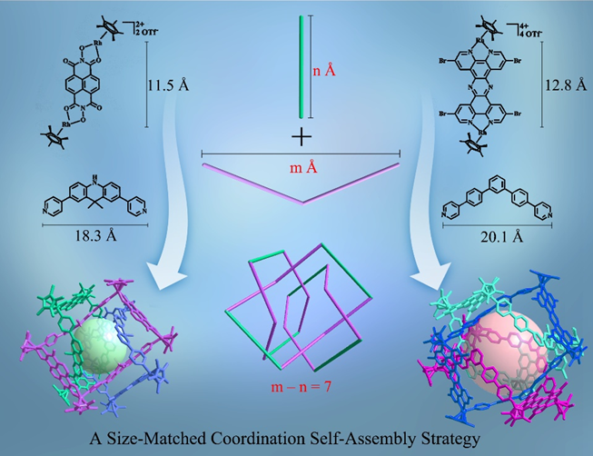 Angew. Chem. ：一步法合成数学方程链笼