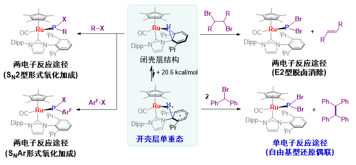 Angew. Chem. ：磷中心实现碳-卤键单电子与双电子活化路径自由切换