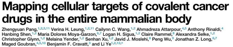 Cell | 在全动物水平可视化共价癌症药物的细胞靶点