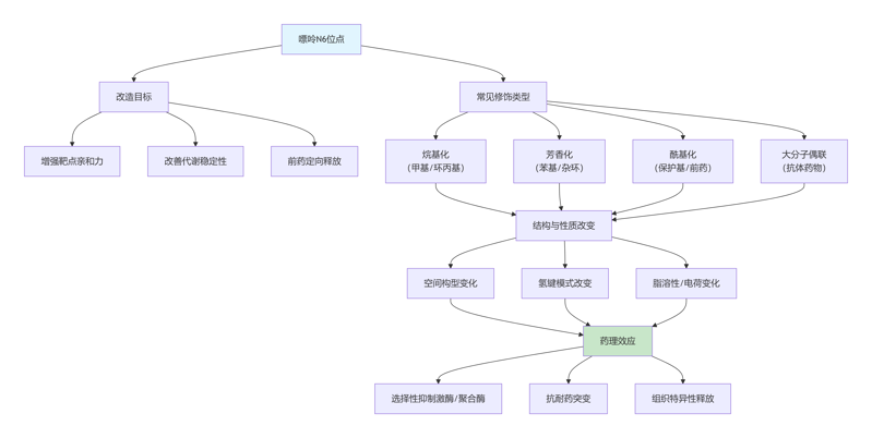 嘌呤 N6 位结构改造及合成要点