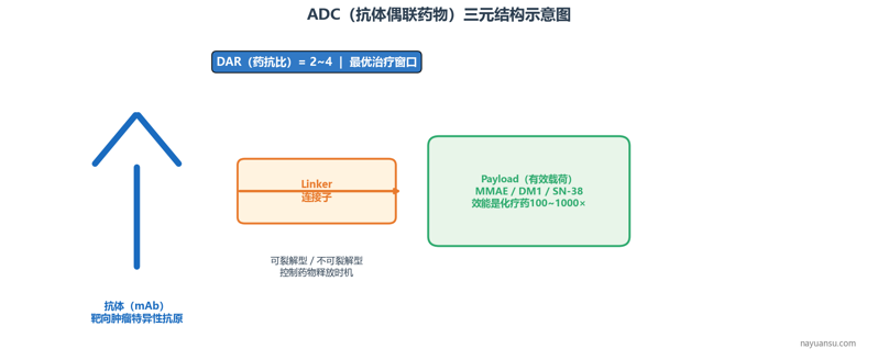 image-02-adc-structure