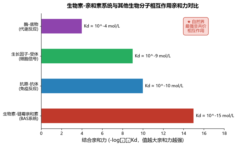image-01-biotin-avidin-affinity