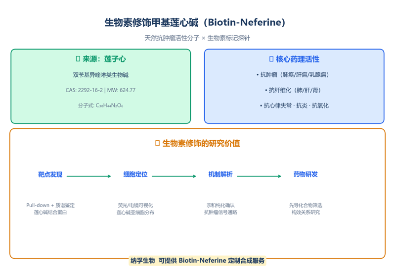 image-01-biotin-neferine