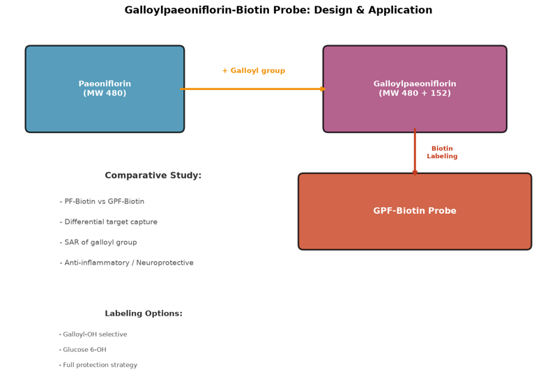 image-03-galloylpaeoniflorin-biotin