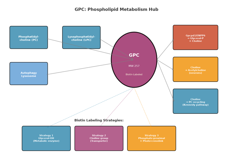 image-05-gpc-biotin
