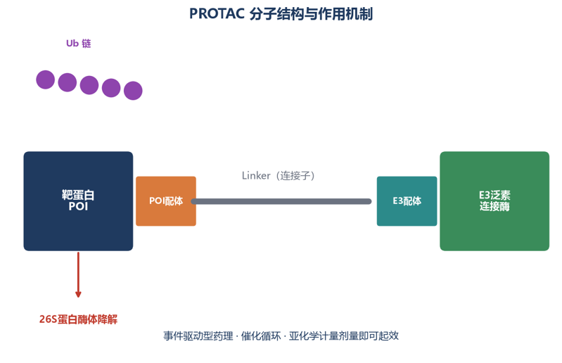image-04-PROTAC作用机制