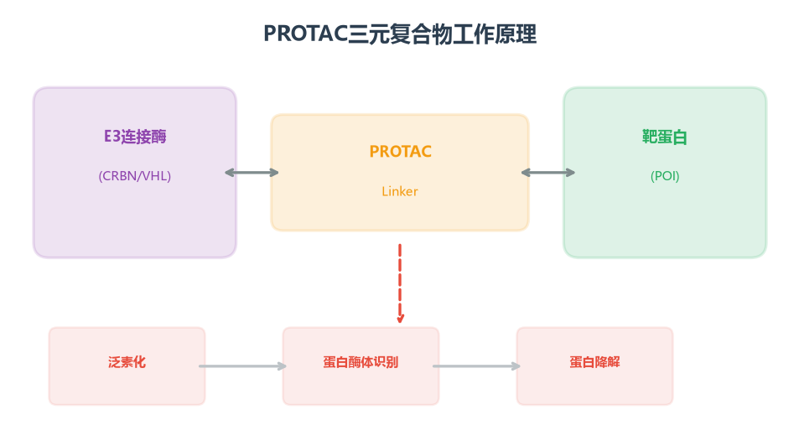 image-01-PROTAC原理
