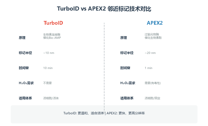 image-03-TurboID-vs-APEX2 image-03-TurboID-vs-APEX2