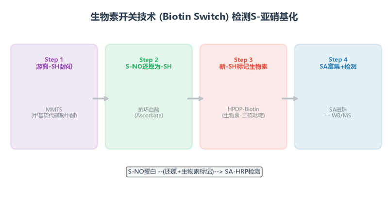 image-04-生物素开关技术