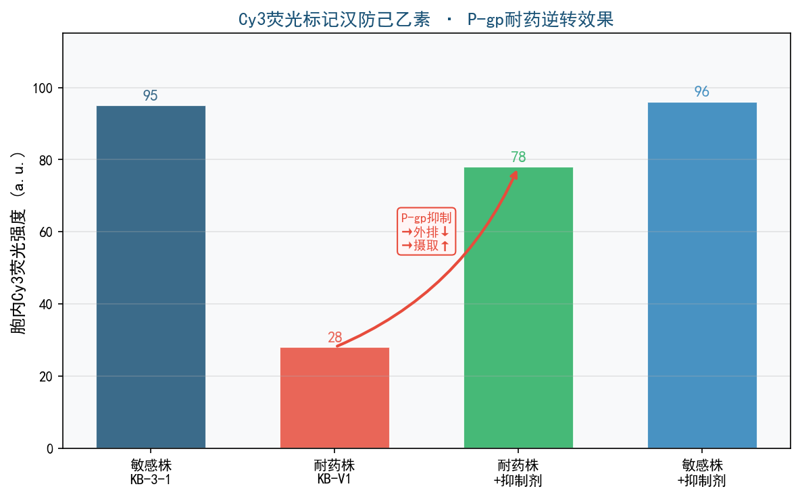 image-06-fangchinoline-mdr