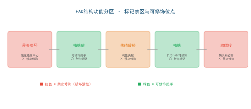 image-09-fad-domains