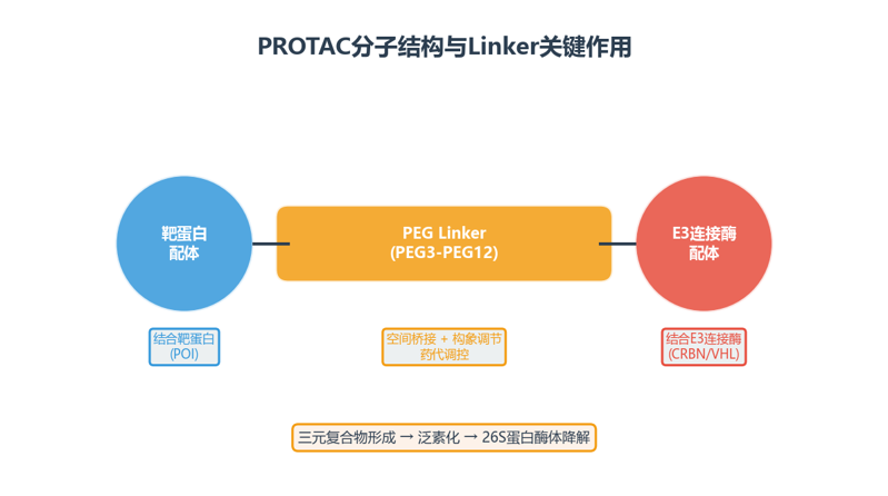 image-02-protac结构