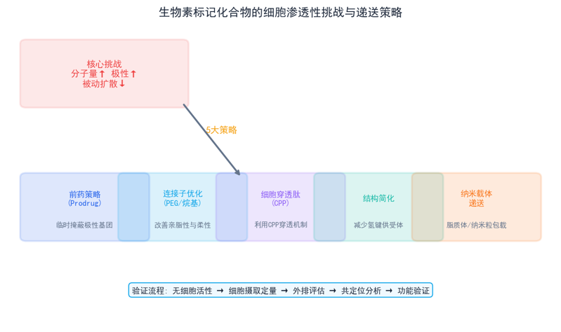 image-03-biotin-delivery image-03-biotin-delivery