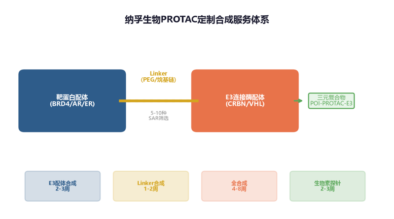 image-05-PROTAC合成服务矩阵