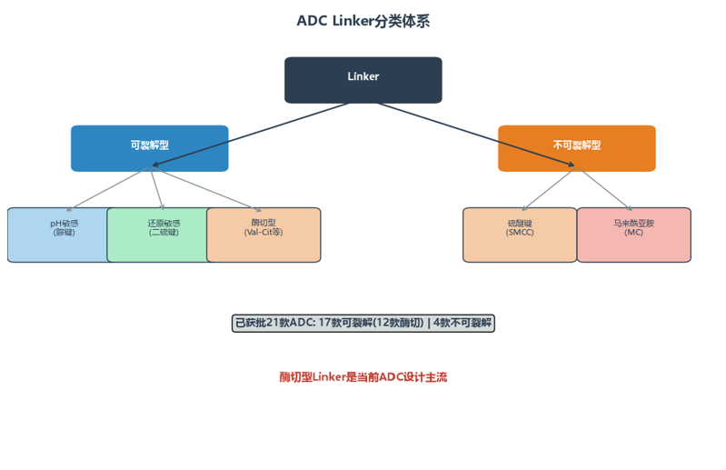 image-03-adc-linker-classification