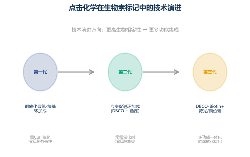 image-03-点击化学生物素标记演进
