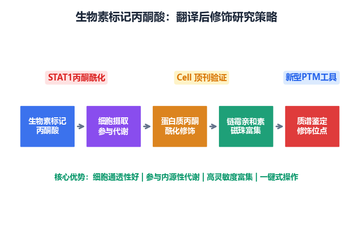 image-04-生物素标记丙酮酸原理
