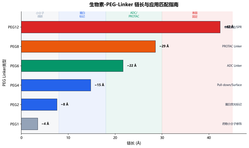 image-03-PEG-Linker链长