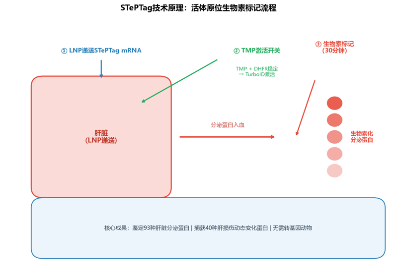 image-03-steptag-mechanism