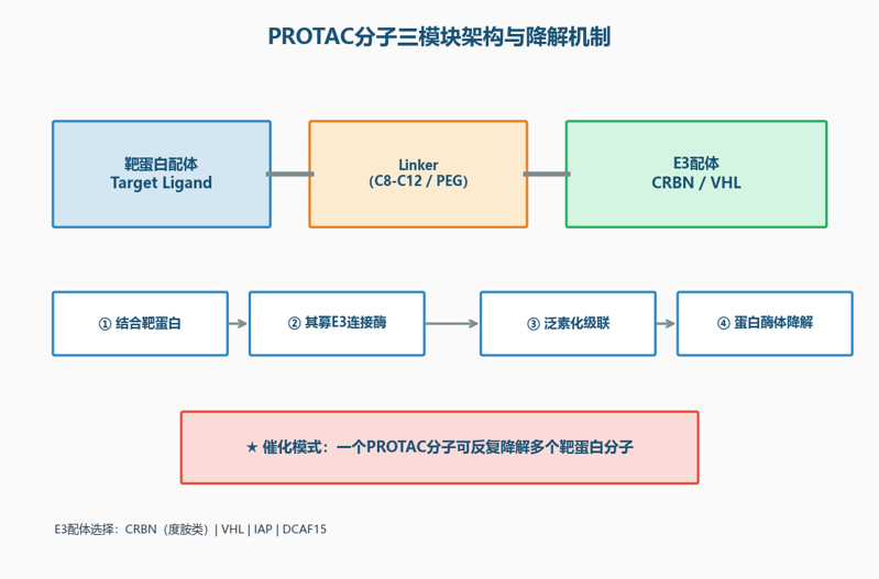 image-04-protac-synthesis