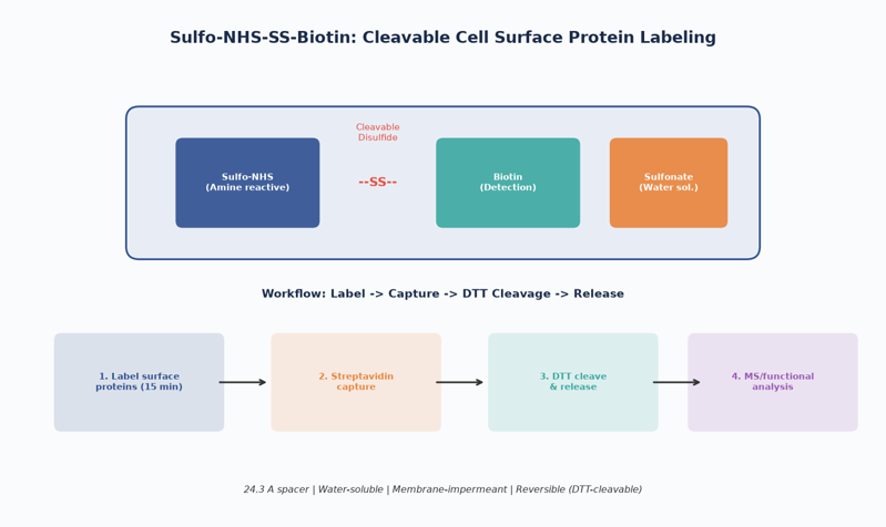 image-01-sulfo-nhs-ss-biotin