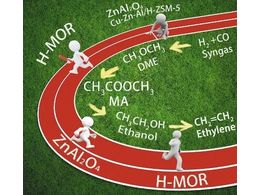 厦门大学在合成气选择转化制取含氧化合物方面取得突破